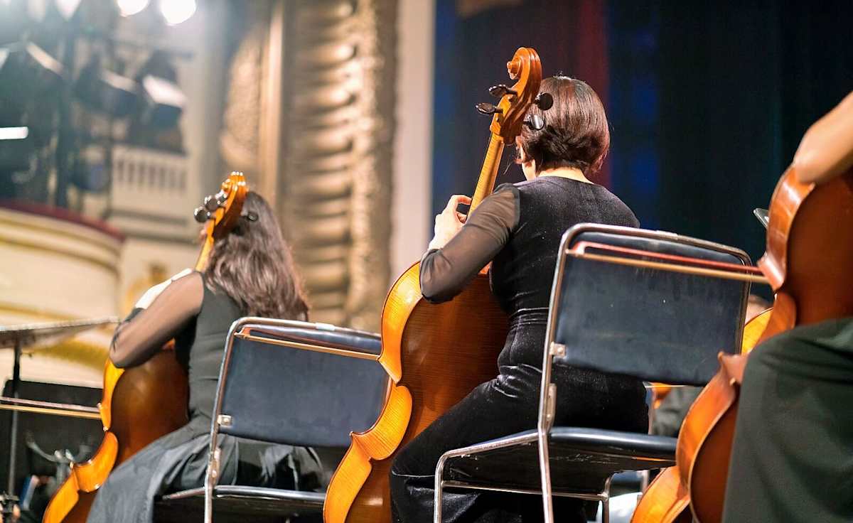 Cello Gayageum