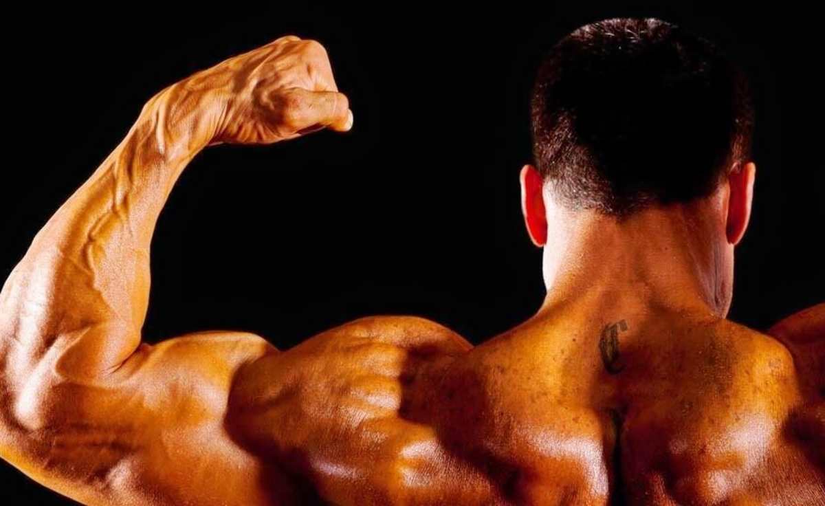 Mr. Olympia
