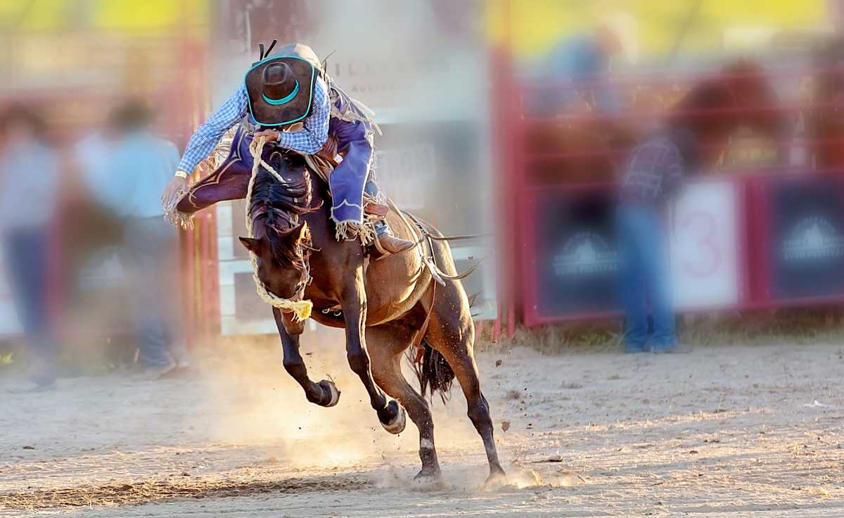 George Strait Team Roping Classic