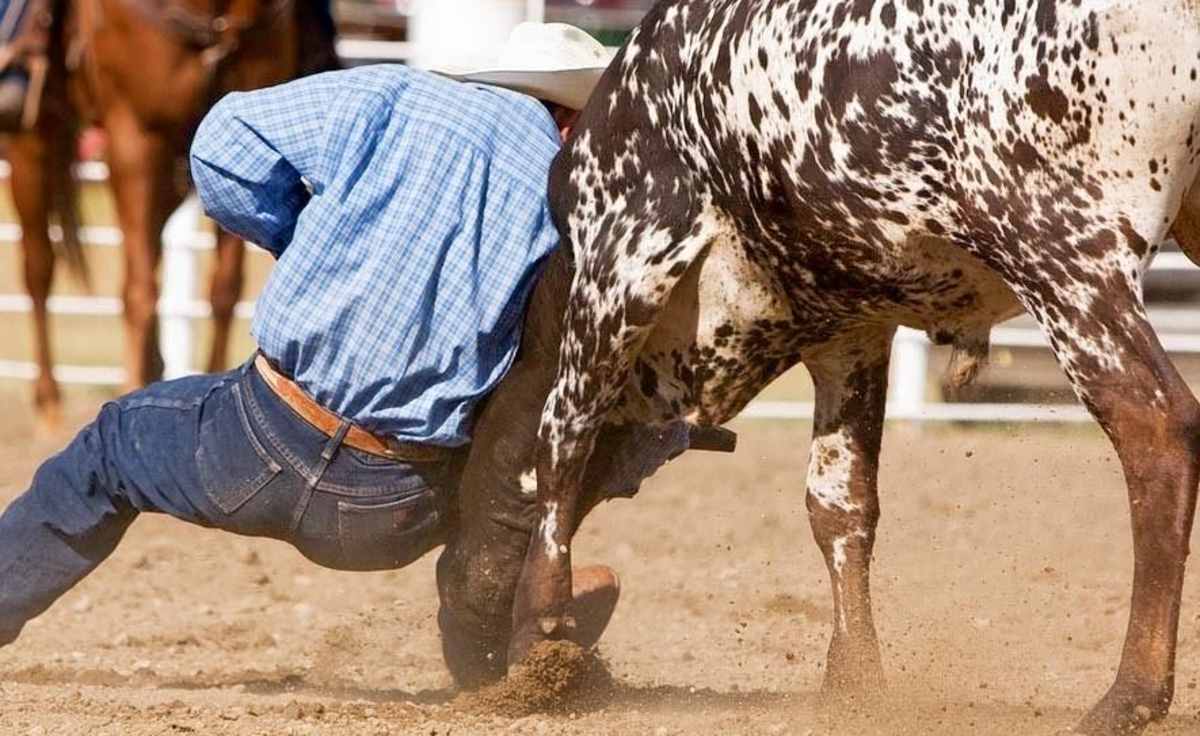 George Strait Team Roping Classic