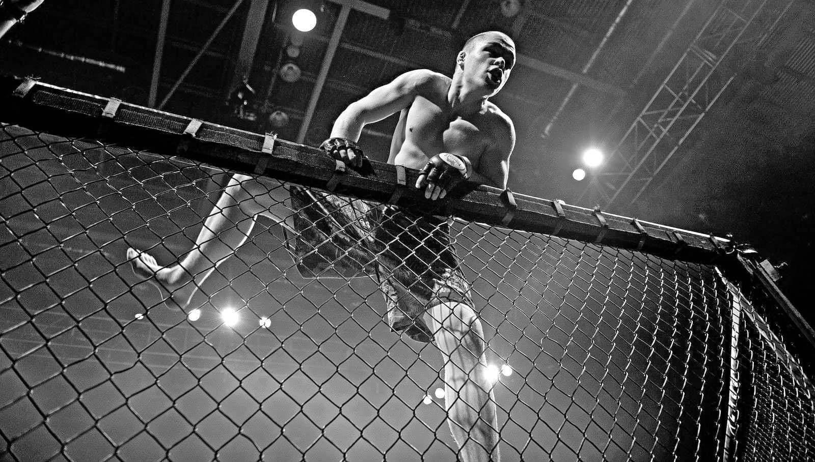 Ufc Ultimate Fighting Championship Tickets Stubhub