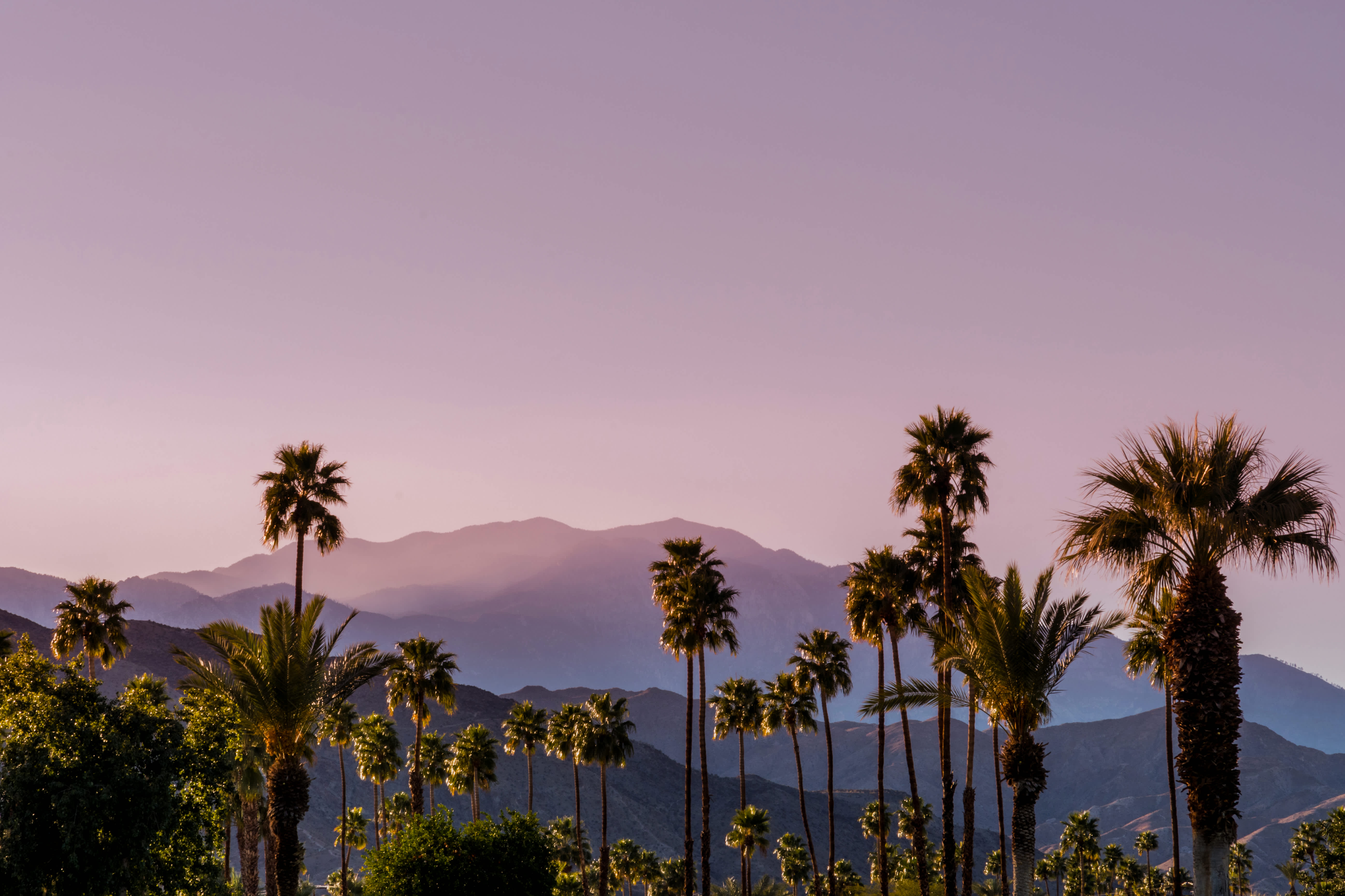 Coachella Tickets 2020 Lineup Info Stubhub