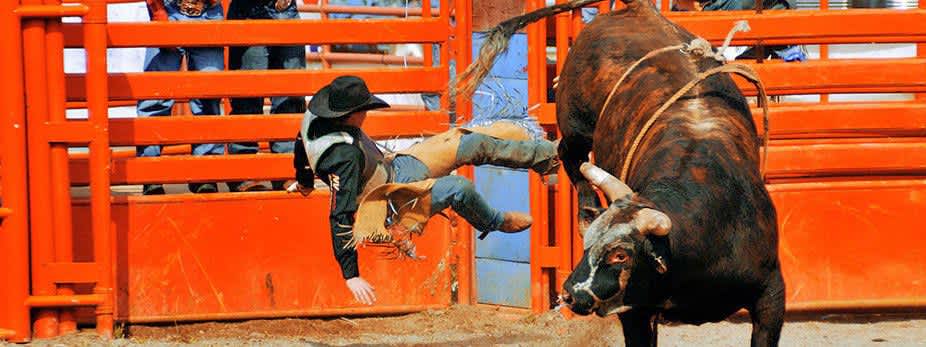Pro Bull Riding Pbr Tickets Stubhub