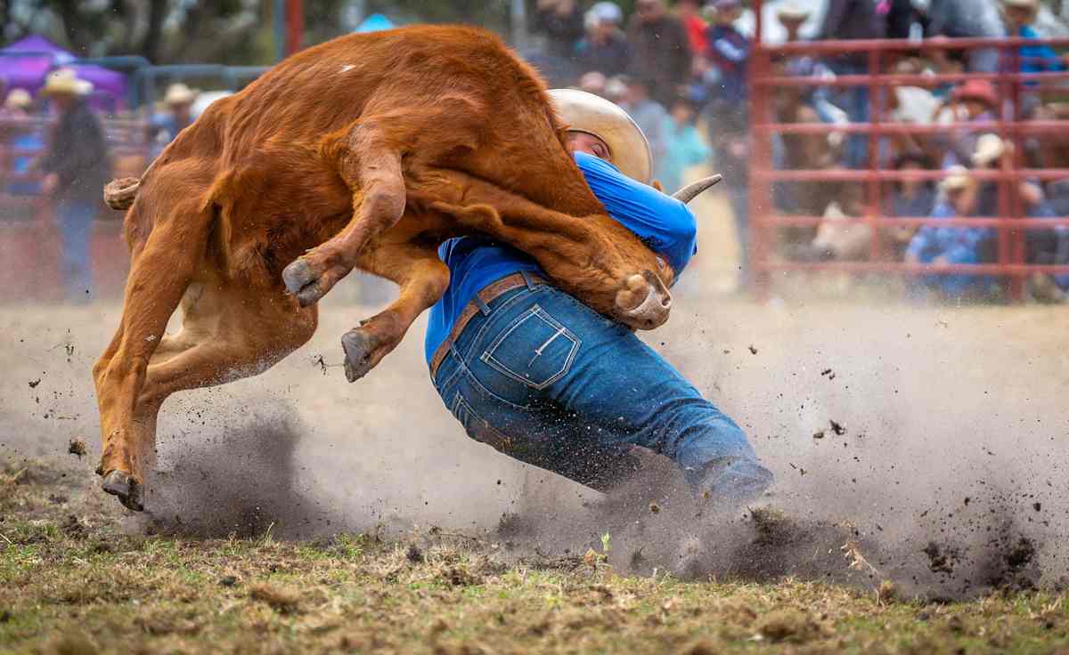 Ogden Pioneer Days Rodeo