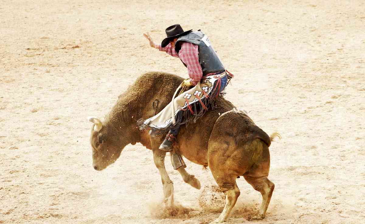 Wichita Falls PRCA Rodeo