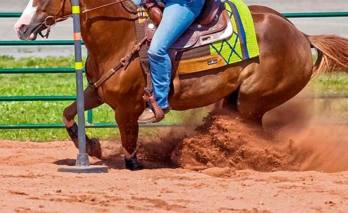 Cal Poly Rodeo