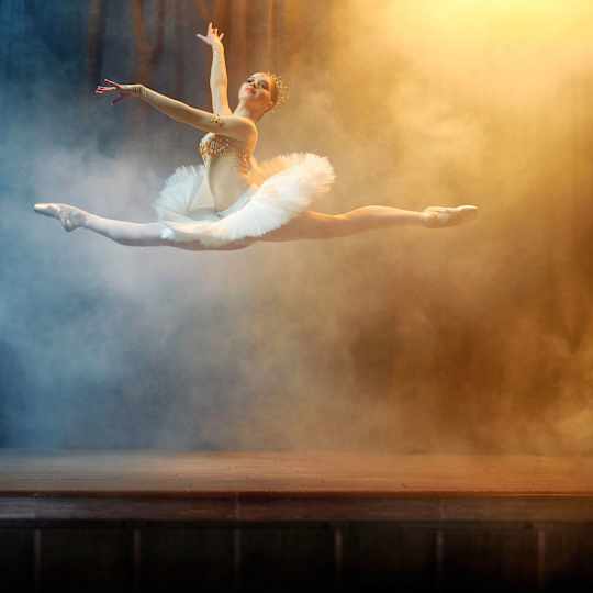 Classical Ballet: Twelve Dancing Princesses Image