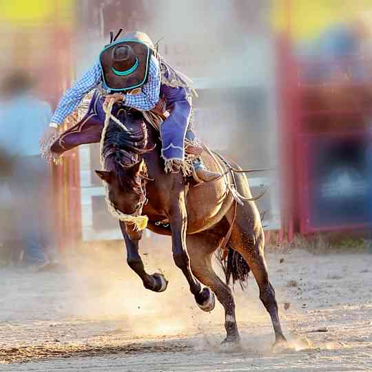 North Texas High School Rodeo Association Finals 5/30 Image