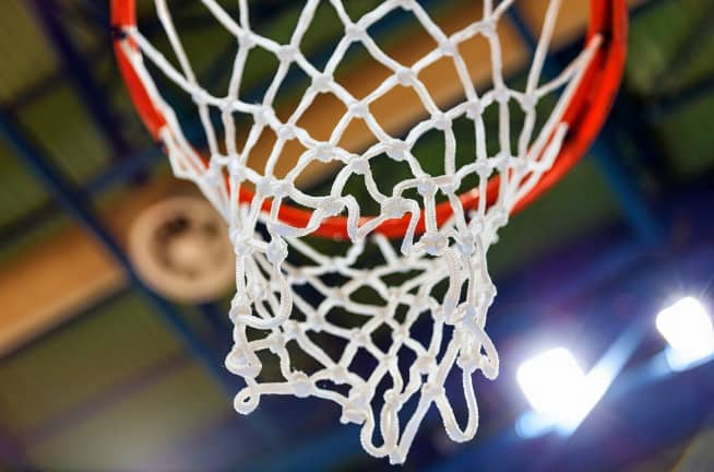 Arkansas Pine Bluff Golden Lionettes Womens Basketball