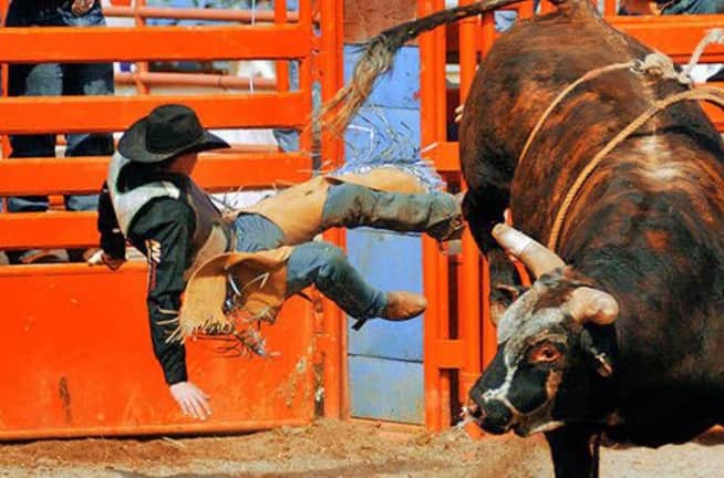 Pro Bull Riding (PBR): Unleash the Beast