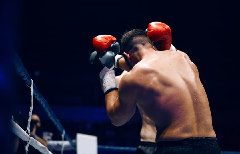 Western New England Golden Gloves Tournament Tickets StubHub