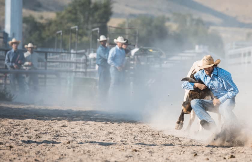 Calgary Stampede Rodeo Tickets StubHub