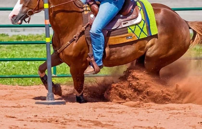 Calgary Stampede Rodeo Tickets StubHub