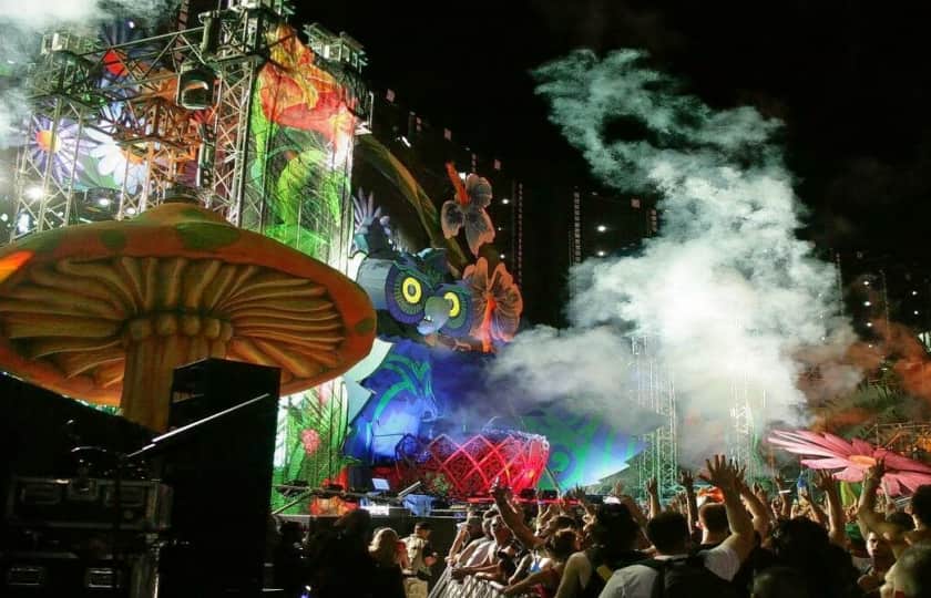 Electric Daisy Carnival Tickets Electric Daisy Carnival Concert