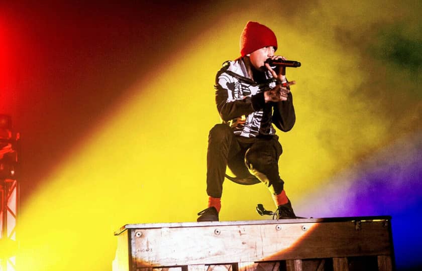 Twenty One Pilots Tickets Konzertkarten für Twenty One Pilots Tour