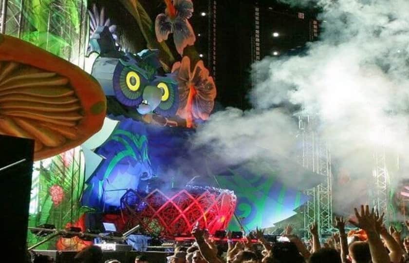 Boletos Electric Daisy Carnival 2024 viagogo