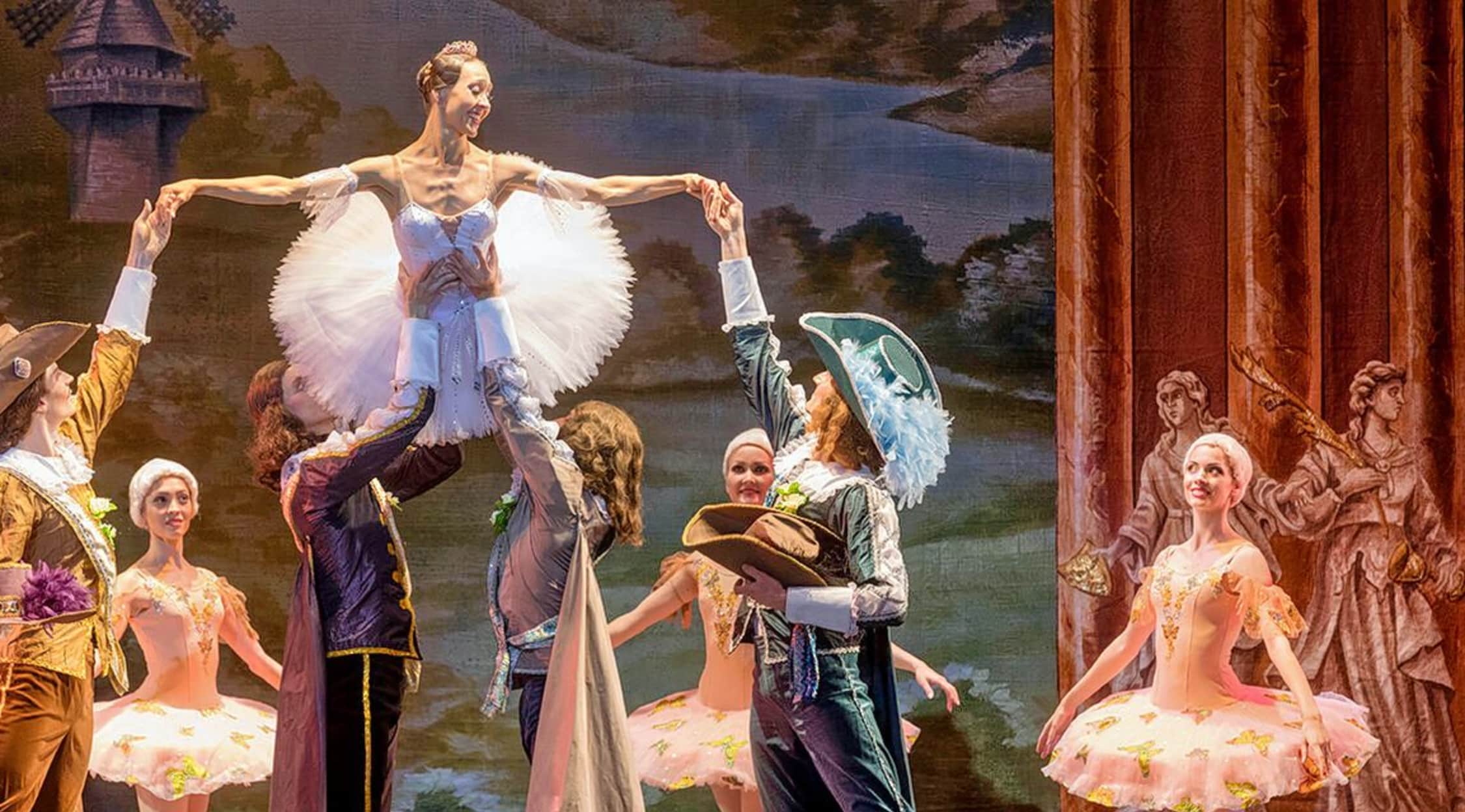 La Bella Addormentata Nel Bosco Balletto Trama