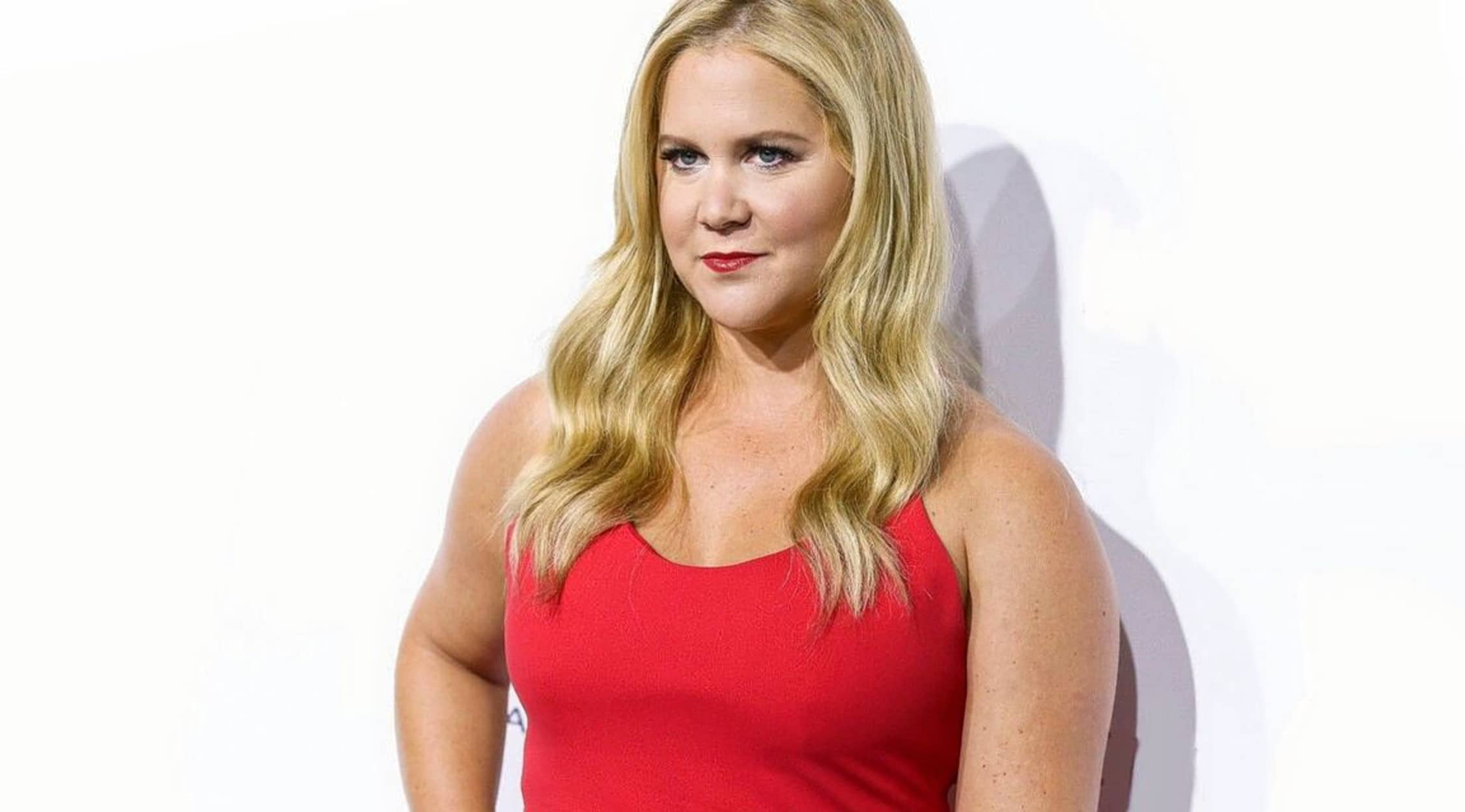 Amy Schumer Tickets Stubhub Add or edit the setlist and help improving our statistics! amy schumer tickets stubhub