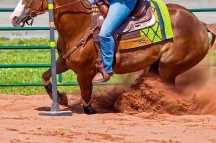 Northern Rodeo Association Tickets Stubhub