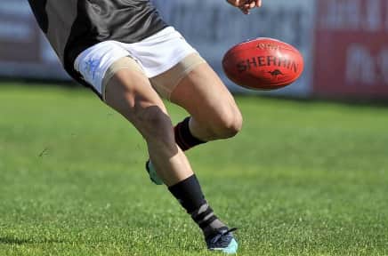 Essendon Fc Tickets Stubhub