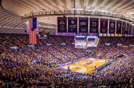 South Carolina Gamecocks Basketball Tickets Stubhub