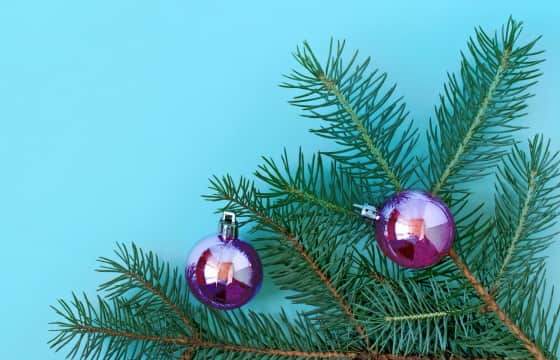 Jingle Ball Concert Tickets And Tour Dates Stubhub