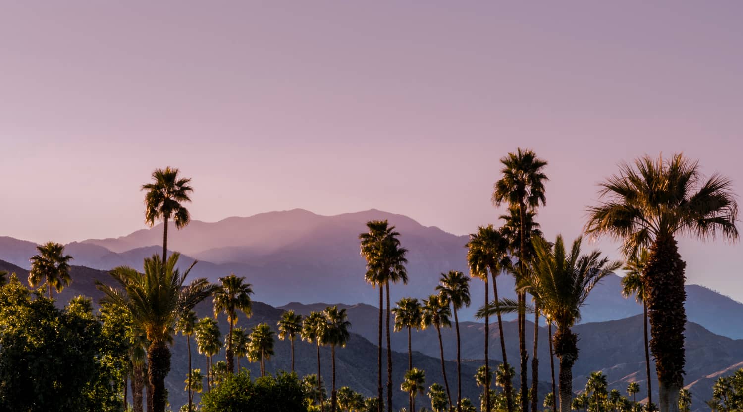 Coachella Tickets 2020 Lineup Info Stubhub