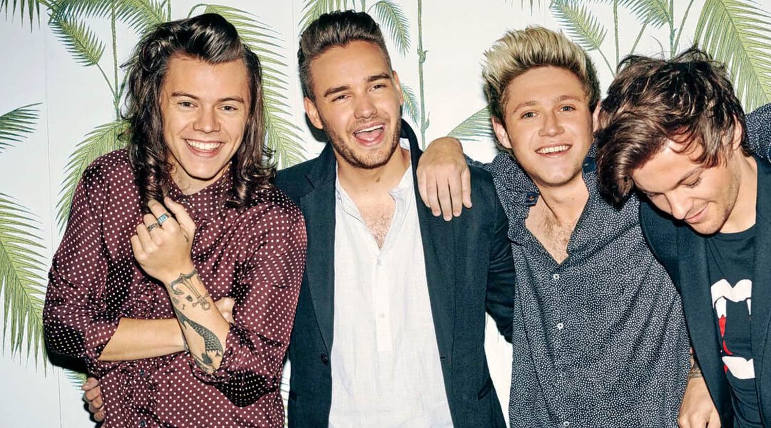 One Direction Tickets Stubhub Ireland