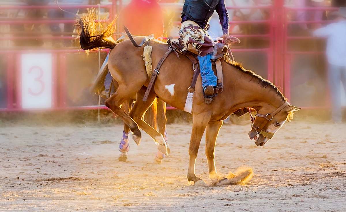 Rodeo Allstars