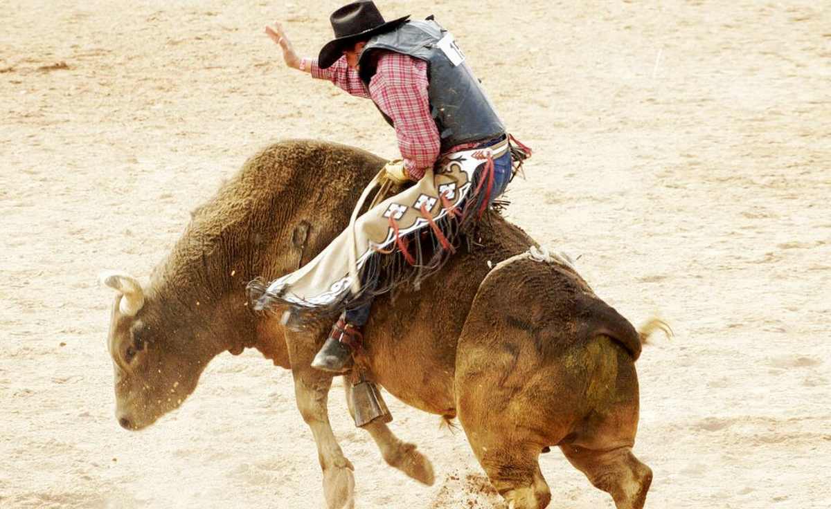 Rodeo All-Star