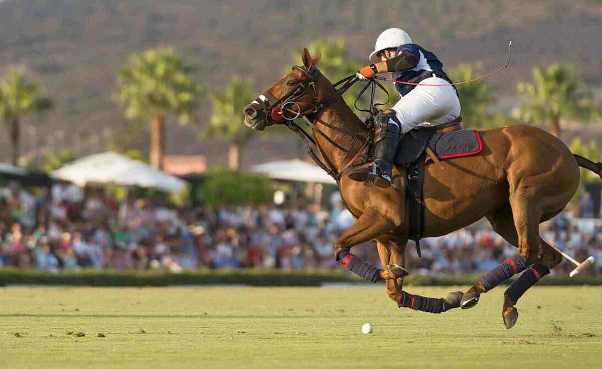 Torneo Internacional de Polo