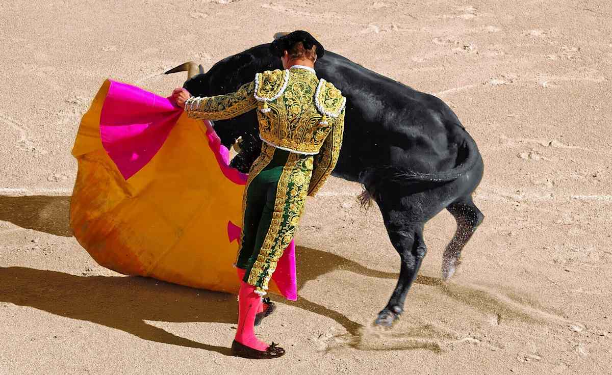 Gonzalo Caballero
