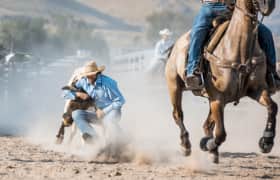 West of the Pecos Rodeo Bilet