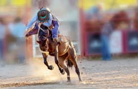 Tucson Rodeo Tucson Rodeo Grounds Tucsonでのチケット 2025年 2月 22日 土 viagogo
