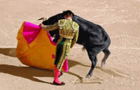 Conley Invitational Bull Riding Manatee County Fairgrounds Palmettoでの