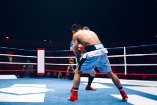 Joe Deguardia's Star Boxing