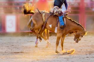 Mesquite Championship Rodeo