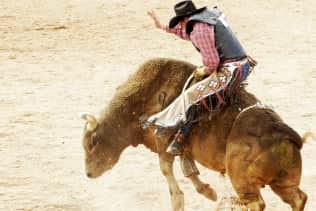 PBR: Professional Bull Riders
