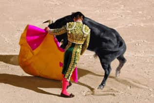 Horse Bullfighting