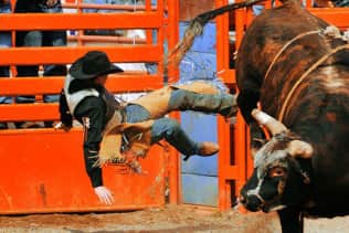 PBR Global Cup