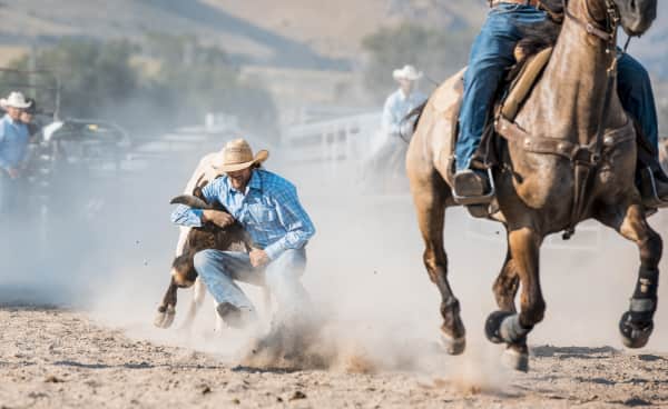 Billets Colorado vs. the World Rodeos | Place Colorado vs. the World ...