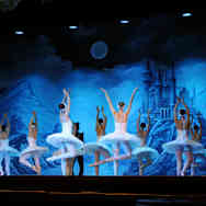 Lago de los Cisnes Tickets Buy or Sell Lago de los Cisnes Tickets 100 Guaranteed viagogo