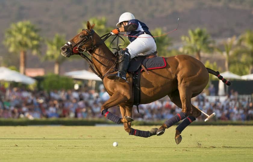 Dubai Gold Cup 2025 Polo Tournament Al Habtoor Polo Resort and Club