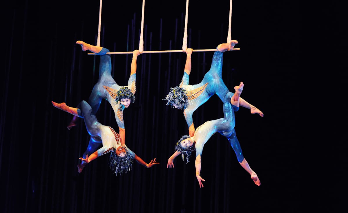 Cirque du Soleil Varekai