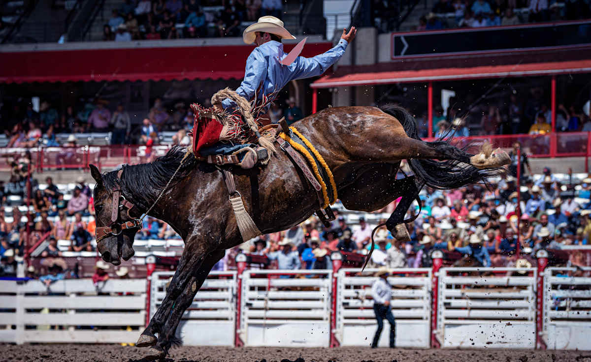 Cheyenne Frontier Days Rodeo Tickets - StubHub