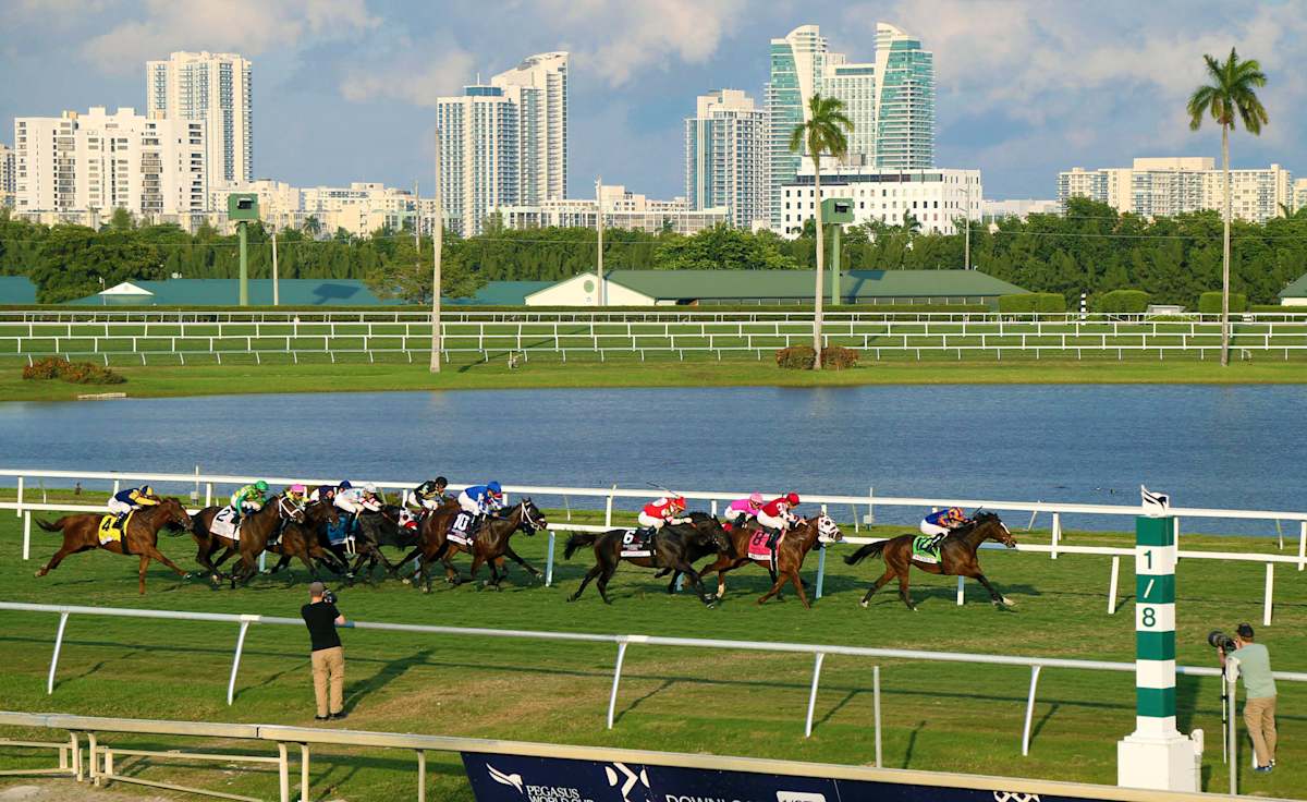 Pegasus World Cup
