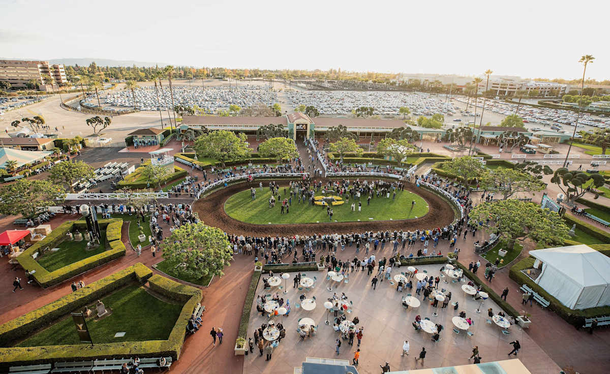 Live Racing at Santa Anita Park