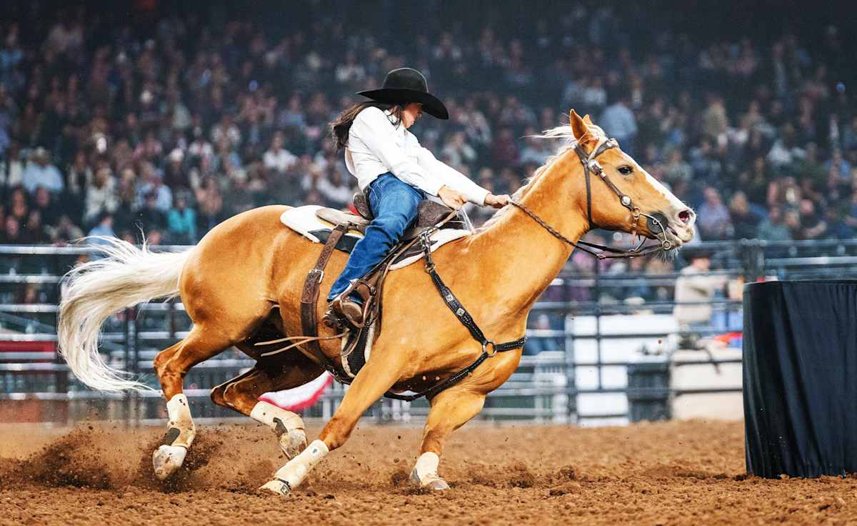 Hondo Rodeo Fest Tickets - StubHub