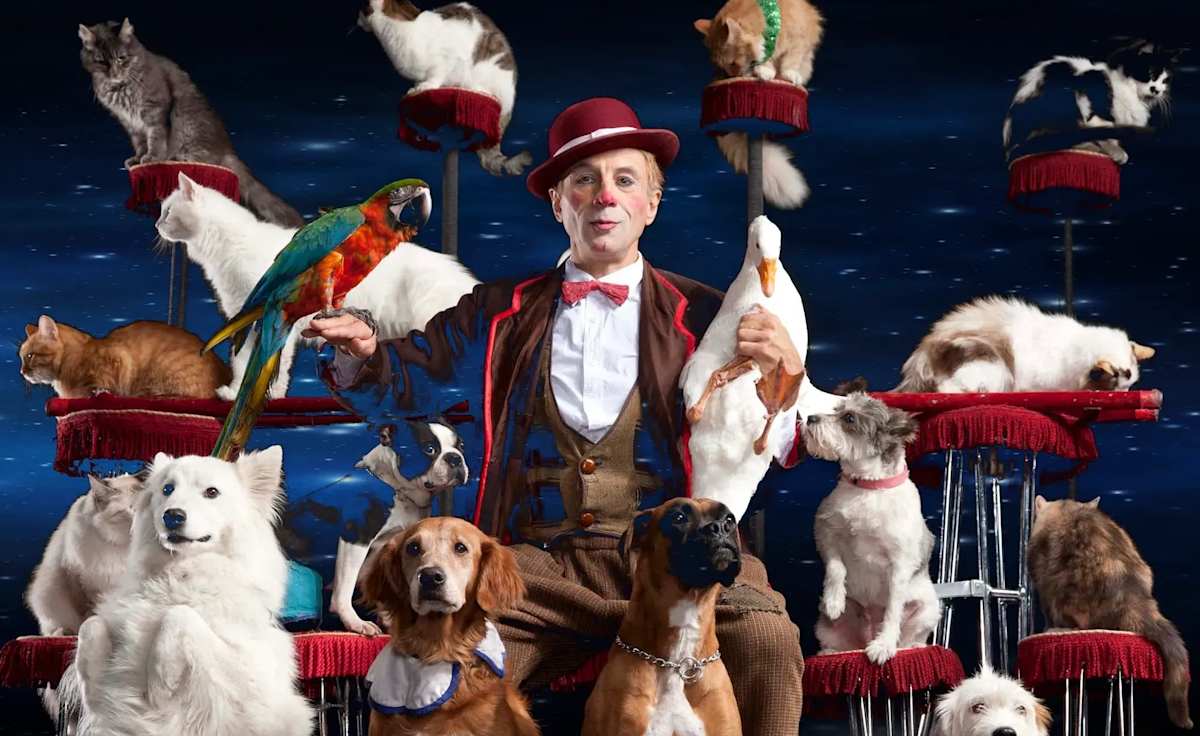 Popovich Comedy Pet Theater