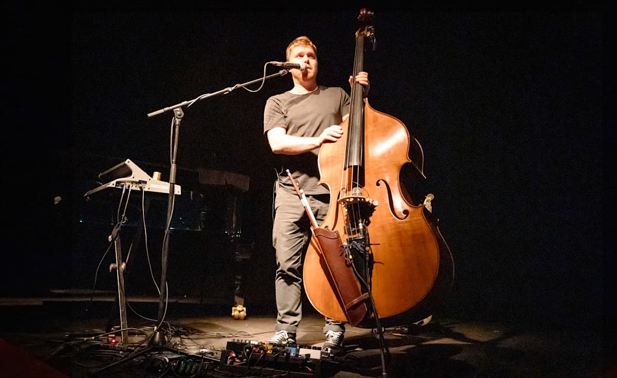 Gogo Penguin
